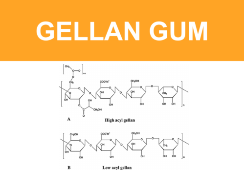 Eco-innovation: Gellan gum