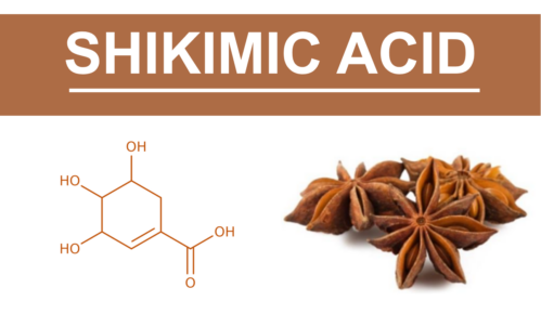 Eco-innovation: Shikimic acid